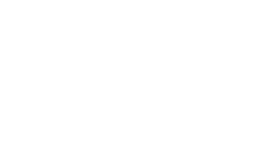 Sap-Construction-Logo-White
